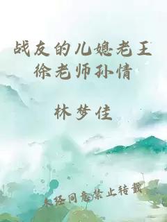 战友的儿媳老王徐老师孙情